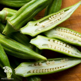 Бамия Бомбей