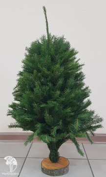 Фото Ель на подставке 