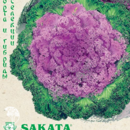 Капуста декоративная Нагойя розовая F1Саката серия Эксклюзив