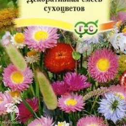 Декоративная смесь сухоцветов 