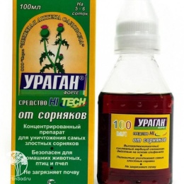 Ураган Форте