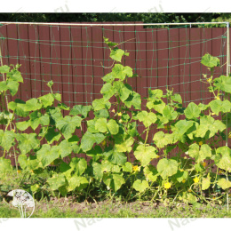 Шпалера для огурцов двухскатная