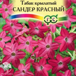 Табак Сандер Красный крылатый