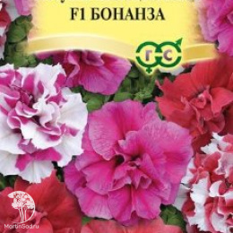 Петуния Бонанза F1  (серия Элитная клумба) махровая
