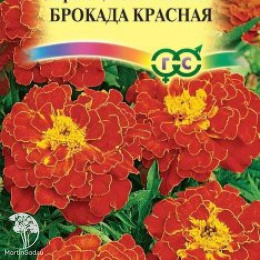 Бархатцы откл. Брокада красная (Тагетес)