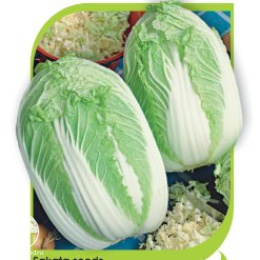 Капуста пекинская Юки F1 (Саката)