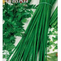 Лук шнитт Чемал, на зелень