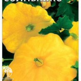 Патиссон Солнышко