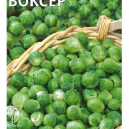 Капуста брюссельская Боксер