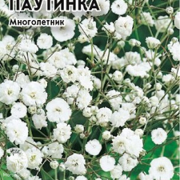 Гипсофила метельч. Паутинка Уд. с.