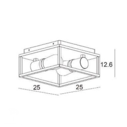 CARLYN Ceiling Light Bathroom 2x E14/6W White