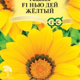 Гацания Нью Дей Желтый F1. серия Элитная клумба