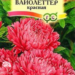 Астра Вайолеттер красная, однолетняя (пионовидная)