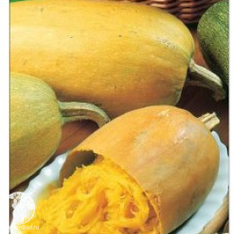 Тыква Спагетти