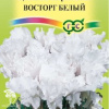 Цикламен махровый Восторг белый (серия Элитная клумба) фото 1 