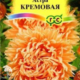 Астра Кремовая, однолетняя (пионовидная) 