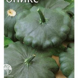 Патиссон Оникс