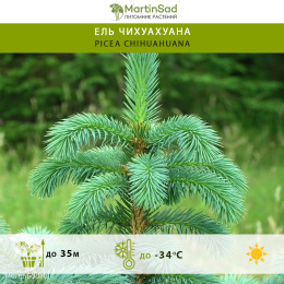 Ель Чихуахуана
