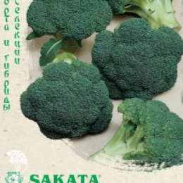Капуста брокколи Маратон F1 (Саката)