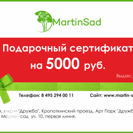 Подарочный сертификат