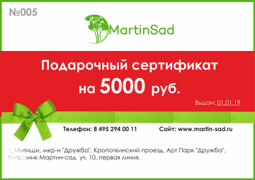 Фото Подарочный сертификат