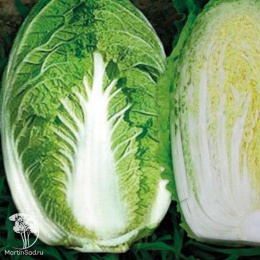 Капуста пекинская Юки F1 (Саката)