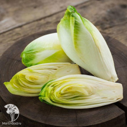 Витлуф Конус