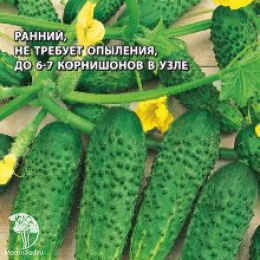 Огурец Герман корнишон (Голландия)