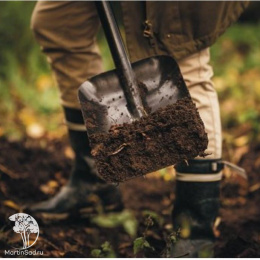 Лопата совковая Solid PROF