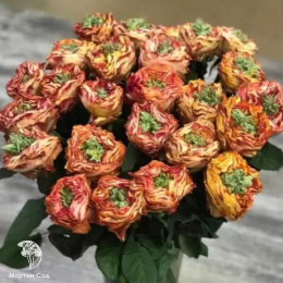 Роза Флеш Ай