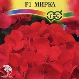 Пеларгония Мирка F1 зональная