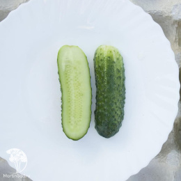 Огурец Все пучком F1 ---  ® Парт Золотая серия