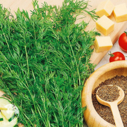 Тмин овощной Аппетитный