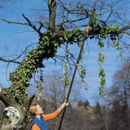  Удлинительная штанга UP80