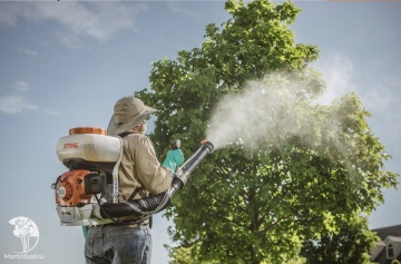 Фото Аппаратная обработка участка STIHL (Деревья и кустарники)