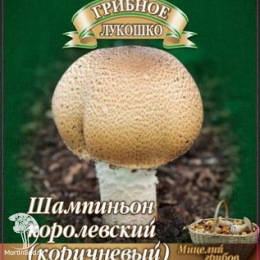 Мицелий Шампиньон Коричневый на зерновом субстрате