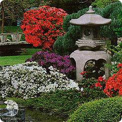 Декоративная смесь Японский садик