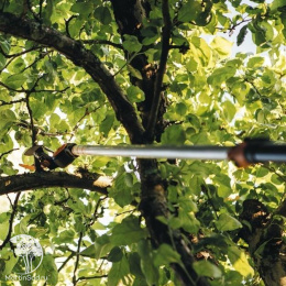 Универсальный садовый сучкорез UPX82