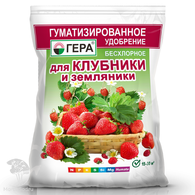 Какая почва для клубники