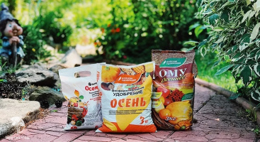 Осенняя подкормка растений: когда начинать, какие удобрения вносить и как правильно ухаживать за садом